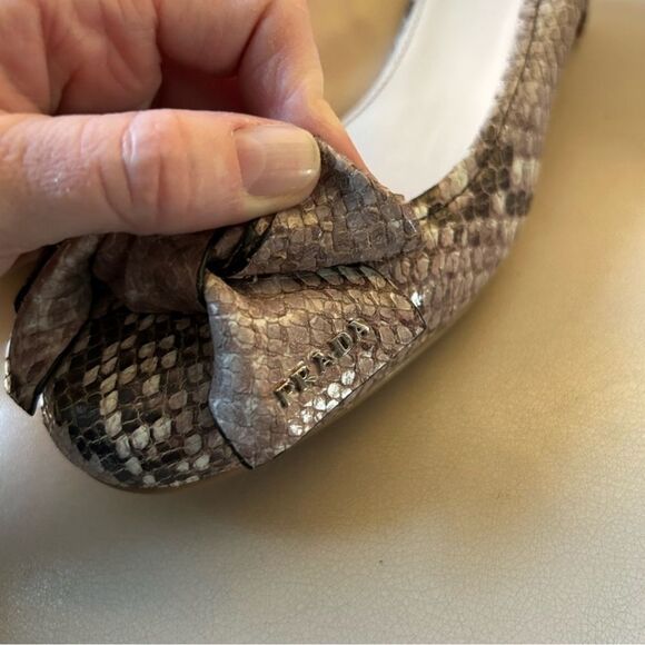 Prada  - Picture 12 of 12